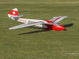 Holzwurmtreffen 2024